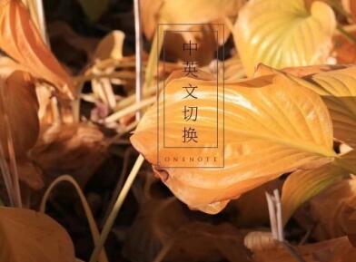 網(wǎng)站中英文切換怎么做？